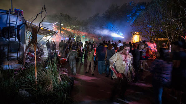 Photography by Universal Orlando Resort